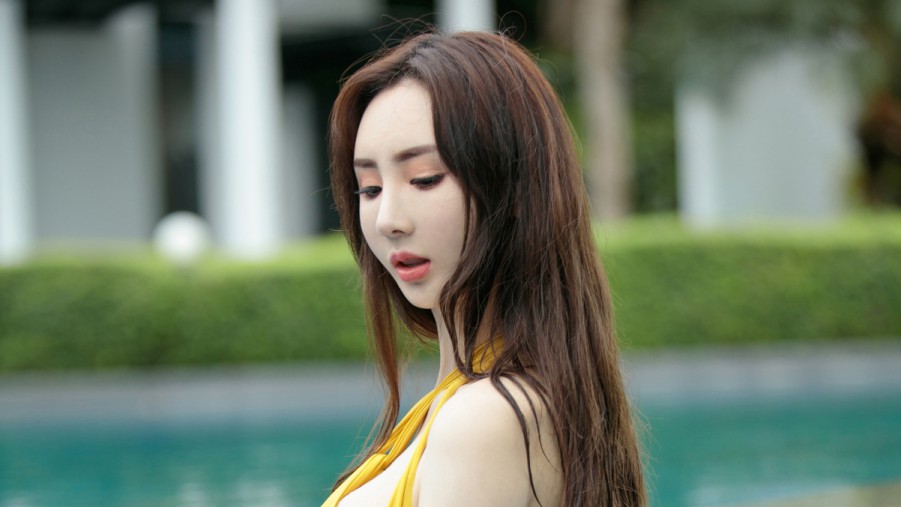 狗狗掉毛常见问题,一次说清楚